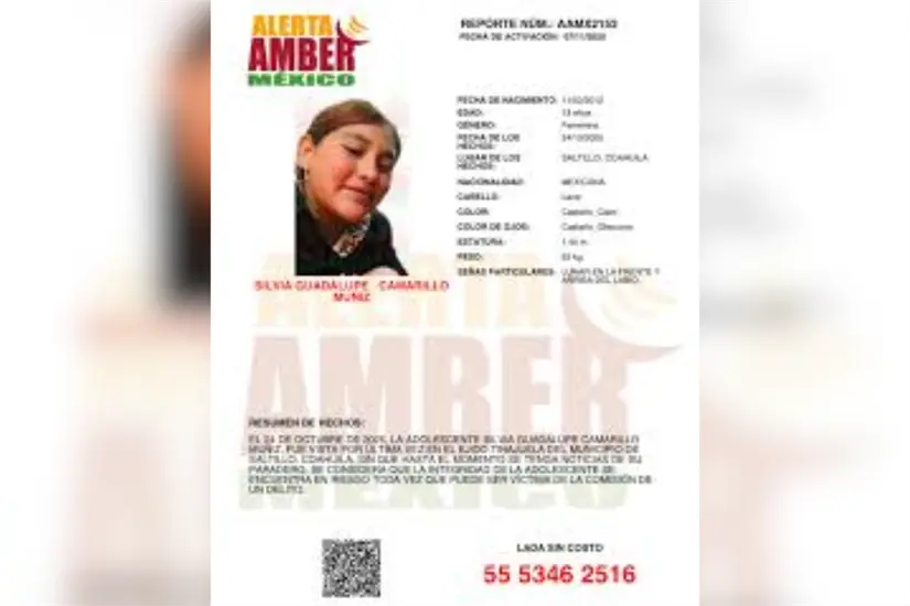 imagen recuadro Un presunto feminicida, vinculado a la violación de Silvia N, será procesado este unes 24 de noviembre mientras se llevan a cabo más investigaciones. Foto: Facebook