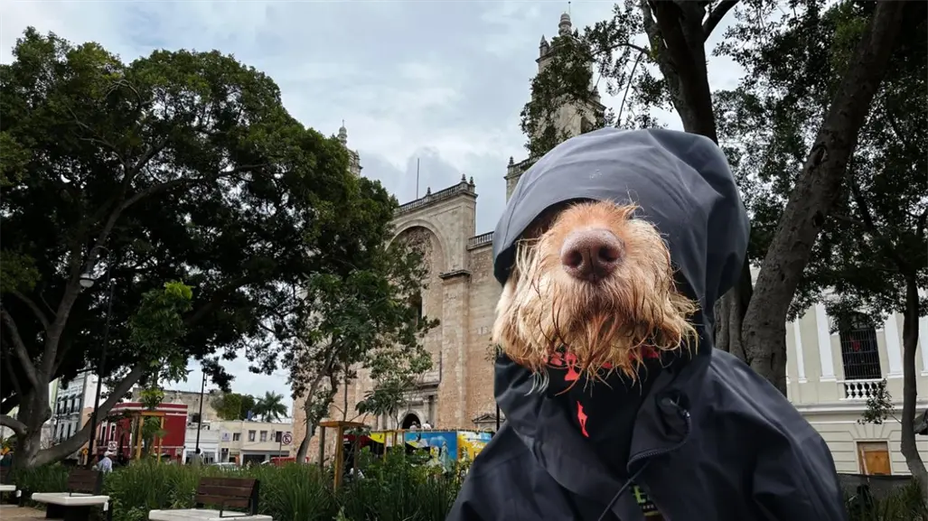 Lluvias y ambiente caluroso en Yucatán este lunes 24 de noviembre