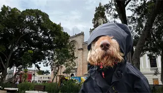 Lluvias y ambiente caluroso en Yucatán este lunes 24 de noviembre