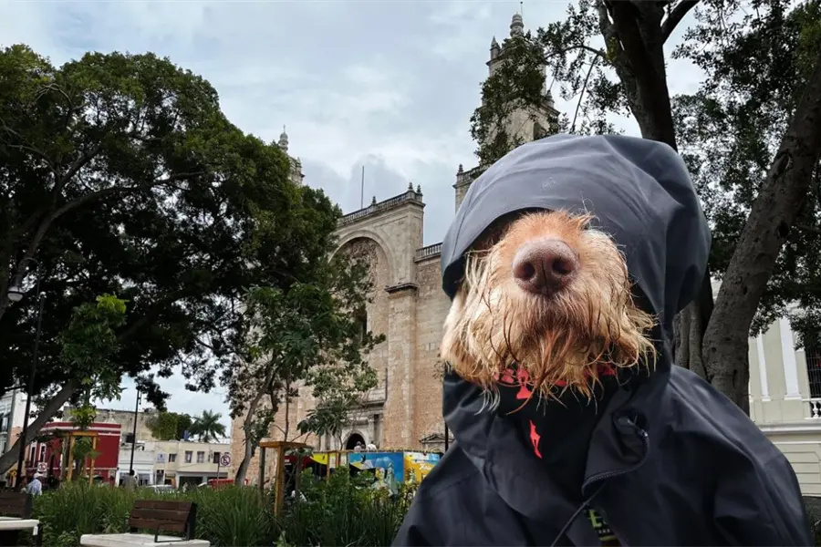 Lluvias y ambiente caluroso en Yucatán este lunes 24 de noviembre