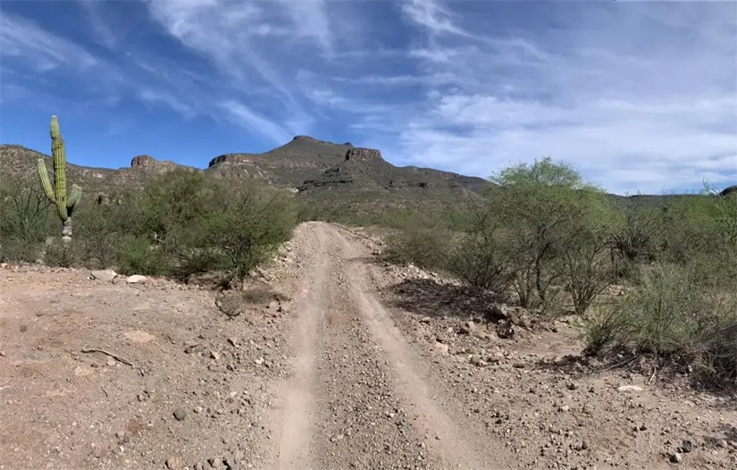 imagen recuadro Camino en el desierto de Sierra de la Giganta. Foto: AllTrails