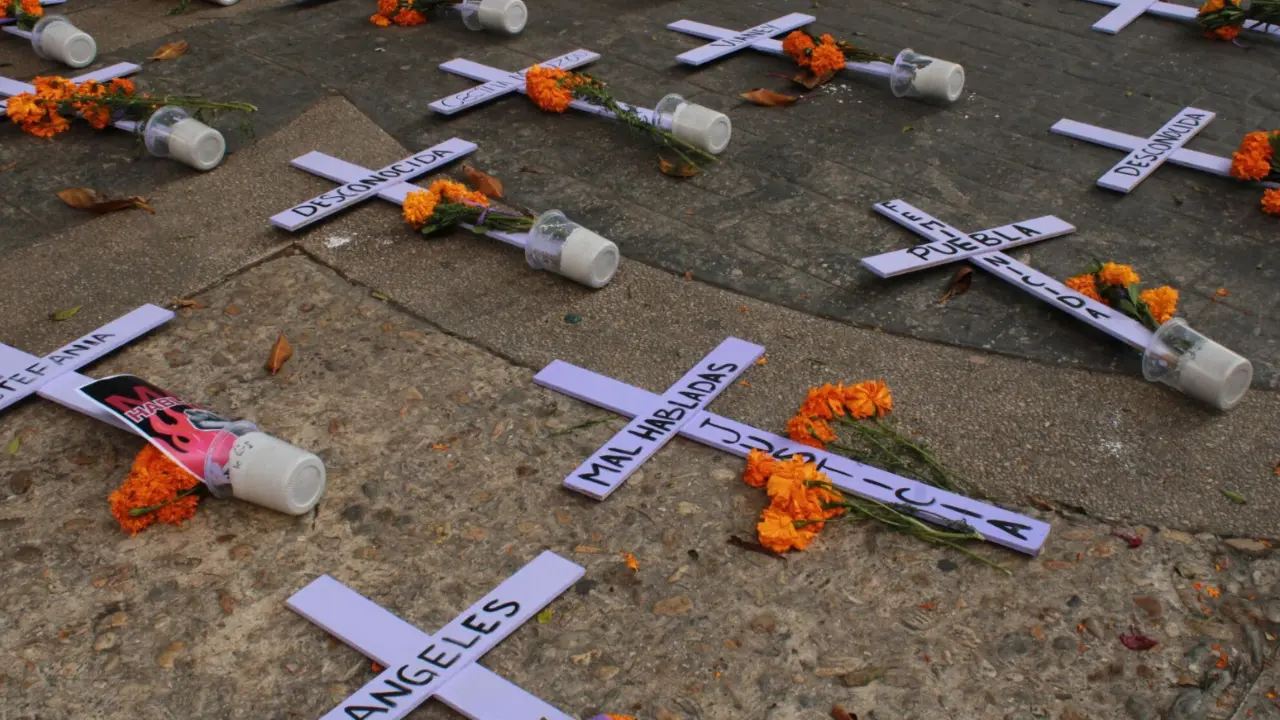 597 víctimas de feminicidio registradas este año en el país, 504 eran mujeres adultas y 54 menores de edad, una cifra que evidencia la persistencia y gravedad de la violencia de género en México, Fotos: Archivo Jafet Moz