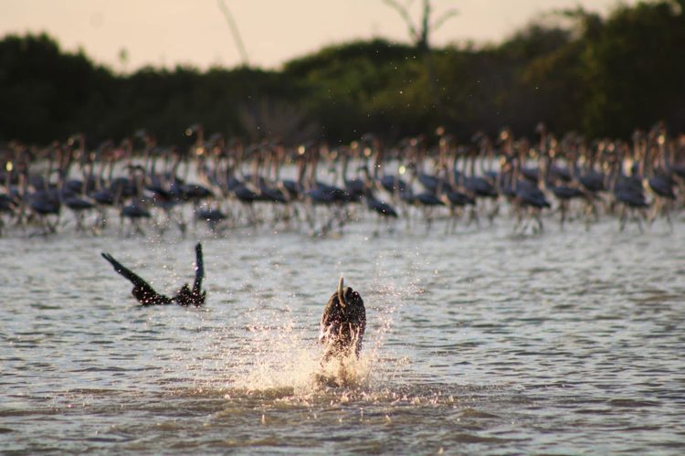 imagen-cuerpo imagen-cuerpo
