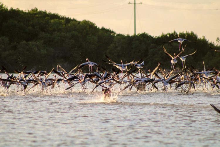 imagen-cuerpo imagen-cuerpo
