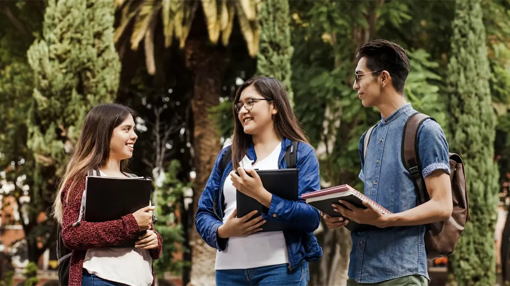 Beca de transporte para universitarios CDMX: guía para quienes no acudieron por su tarjeta en noviembre