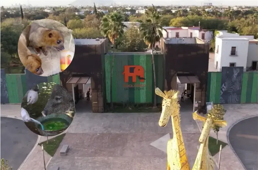 Parque La Pastora. Foto: Canva.