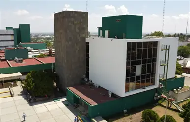 IMSS-Bienestar Tamaulipas entrega más de la mitad de sus contratos a empresas foráneas