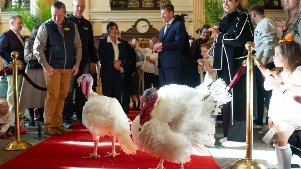 Donald Trump indulta a los pavos por el Día de Acción de Gracias; Gooble responde