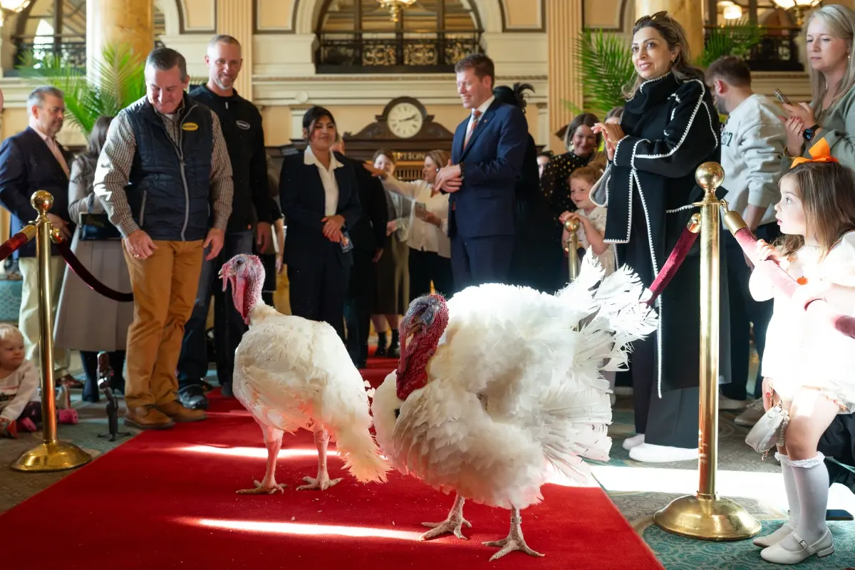 Pavos Gobble y Waddle Foto: The White House