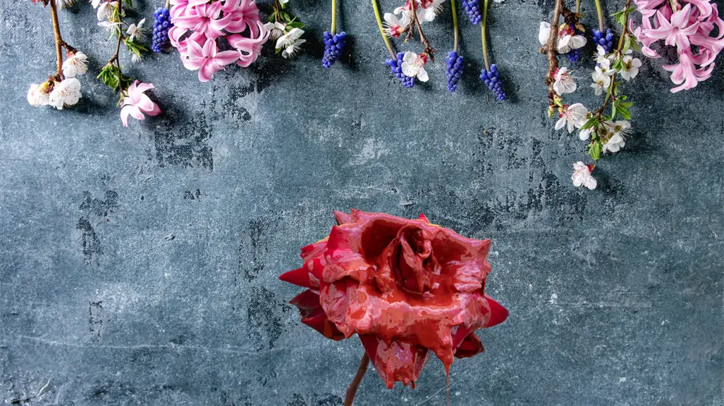 PGJE presume que casi el 100% de los feminicidios han sido resueltos en BCS