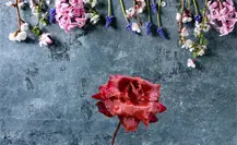 PGJE presume que casi el 100% de los feminicidios han sido resueltos en BCS PGJE presume que casi el 100% de los feminicidios han sido resueltos en BCS