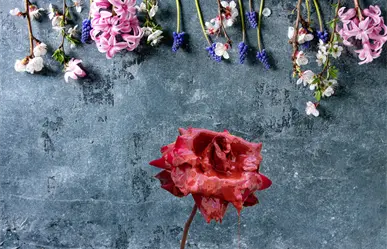 PGJE presume que casi el 100% de los feminicidios han sido resueltos en BCS