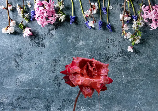 PGJE presume que casi el 100% de los feminicidios han sido resueltos en BCS