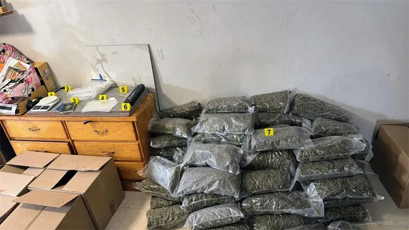 imagen recuadro Los 90 kilos de marihuana quedaron bajo resguardo de la autoridad correspondiente. Foto: Fiscalía General de Justicia de Nuevo León