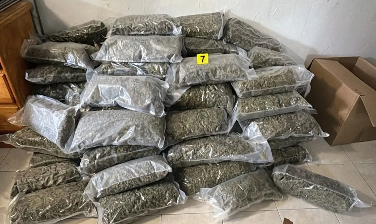 La Fiscalía General de Justicia de Nuevo León cateó un inmueble ubicado en el cruce de las calles 15 de mayo y Luis Álvarez, en el centro de Monterrey, donde fueron asegurados 90 kilos de marihuana. Foto: Fiscalía General de Justicia de Nuevo León