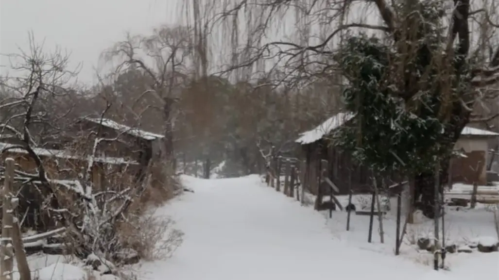 Frente frío 16 provocará heladas en estos estados de México, según Conagua
