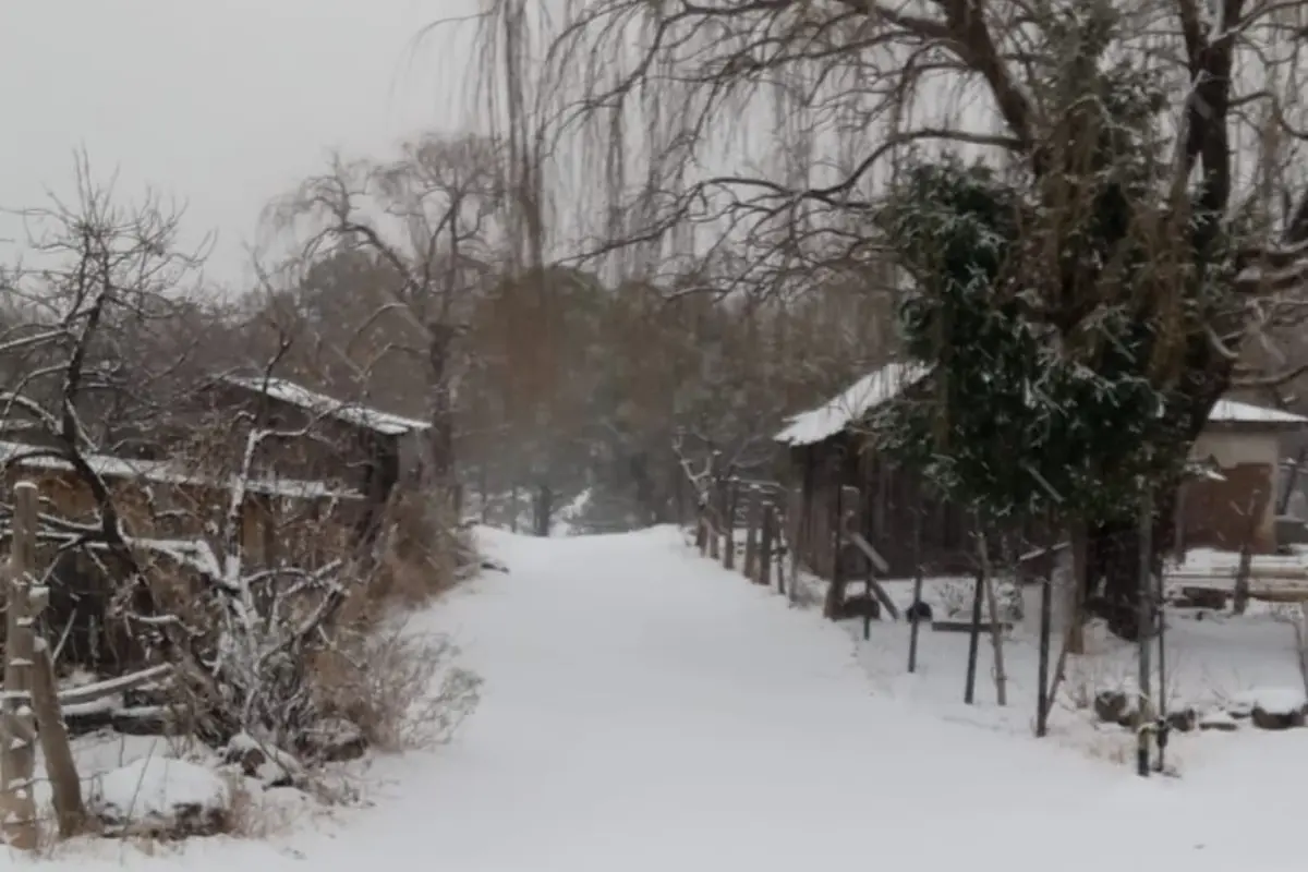 Zonas serranas de Sonora con nieve Foto: Protección Civil Sonora