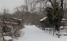 Frente frío 16 provocará heladas en estos estados de México hoy 25 de noviembre, según Conagua