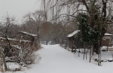 Frente frío 16 provocará heladas en estos estados de México hoy 25 de noviembre, según Conagua