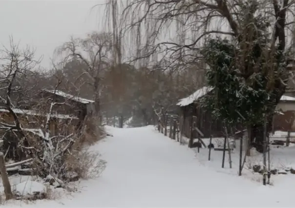 Frente frío 16 provocará heladas en estos estados de México hoy 25 de noviembre, según Conagua