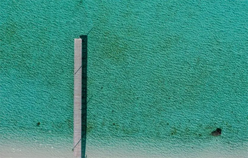 imagen recuadro Foto: Go La Paz