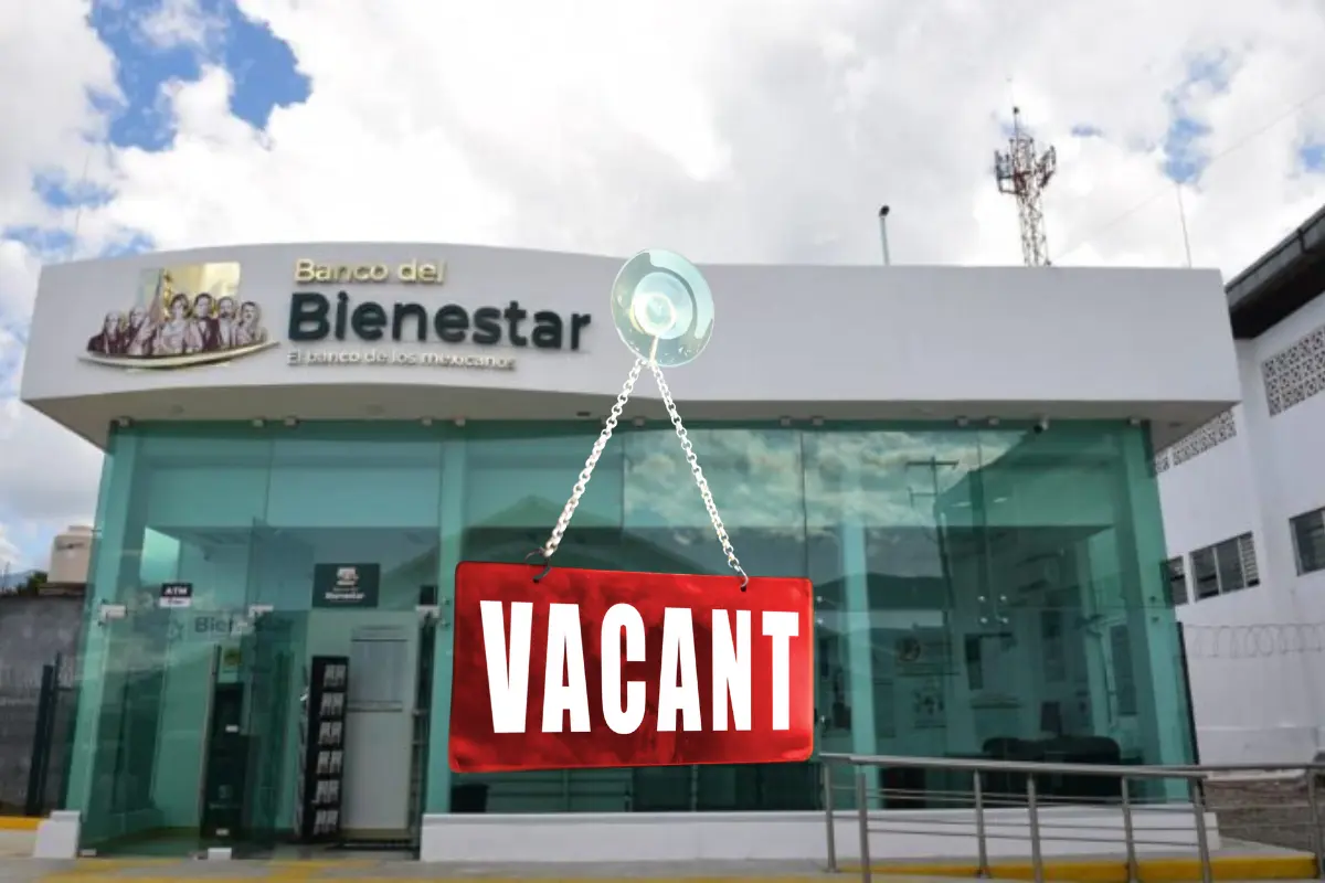 ¿Quieres trabajar en el Banco del Bienestar? Estas son las vacantes y los requisitos. Foto: Banco del Bienestar | Canva