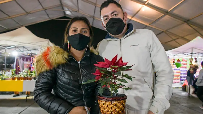 imagen recuadro También podrás encontrar nochebuenas y más regalos para la navidad. | Foto: Especiales