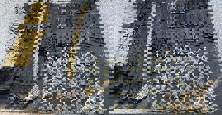 imagen-cuerpo imagen-cuerpo