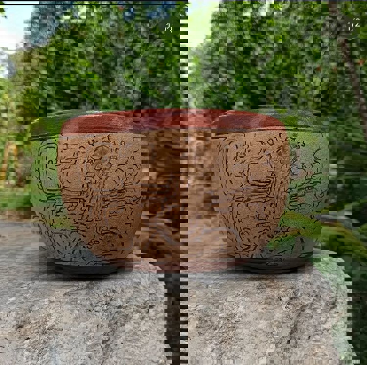 imagen-cuerpo imagen-cuerpo