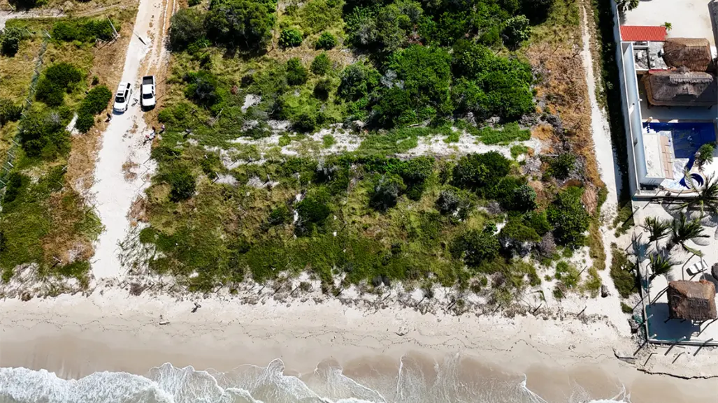 Daños en más de 700 metros cuadrados de ecosistema costero provocan clausuras en Ría Celestún