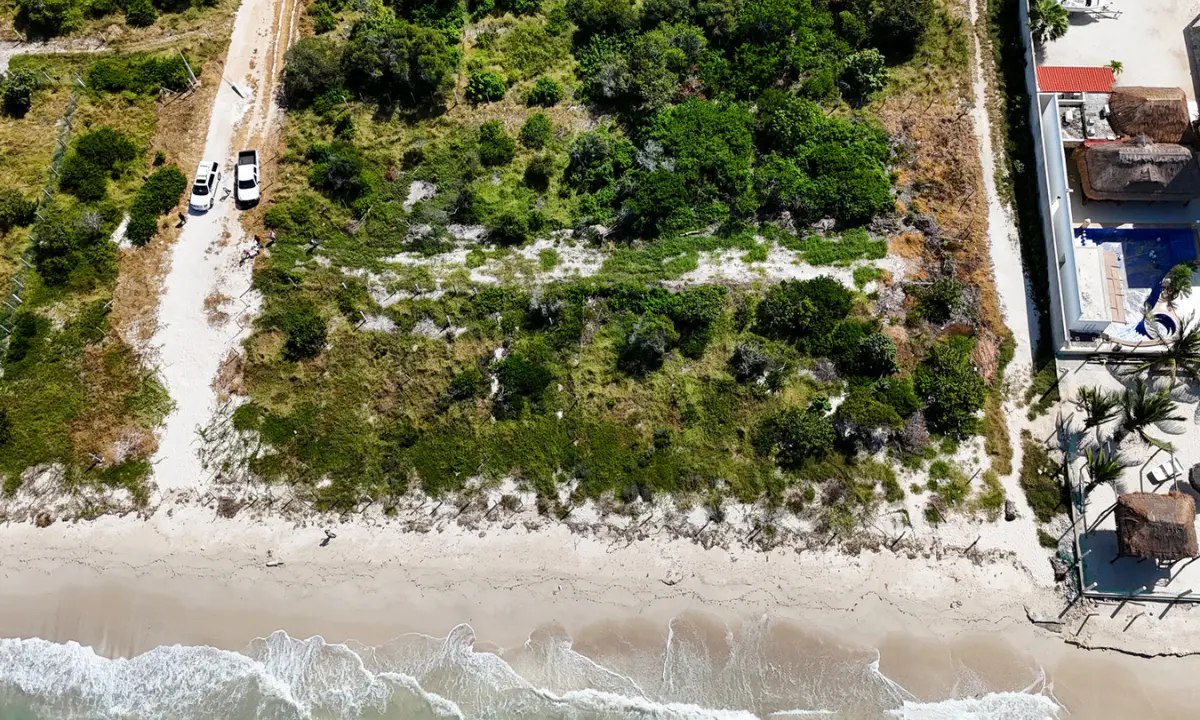 Predios clausurados en Celestún por daños al ecosistema y no contar con permisos Foto: Profepa