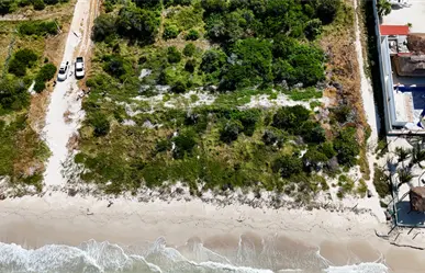 Daños en más de 700 metros cuadrados de ecosistema costero provocan clausuras en Ría Celestún
