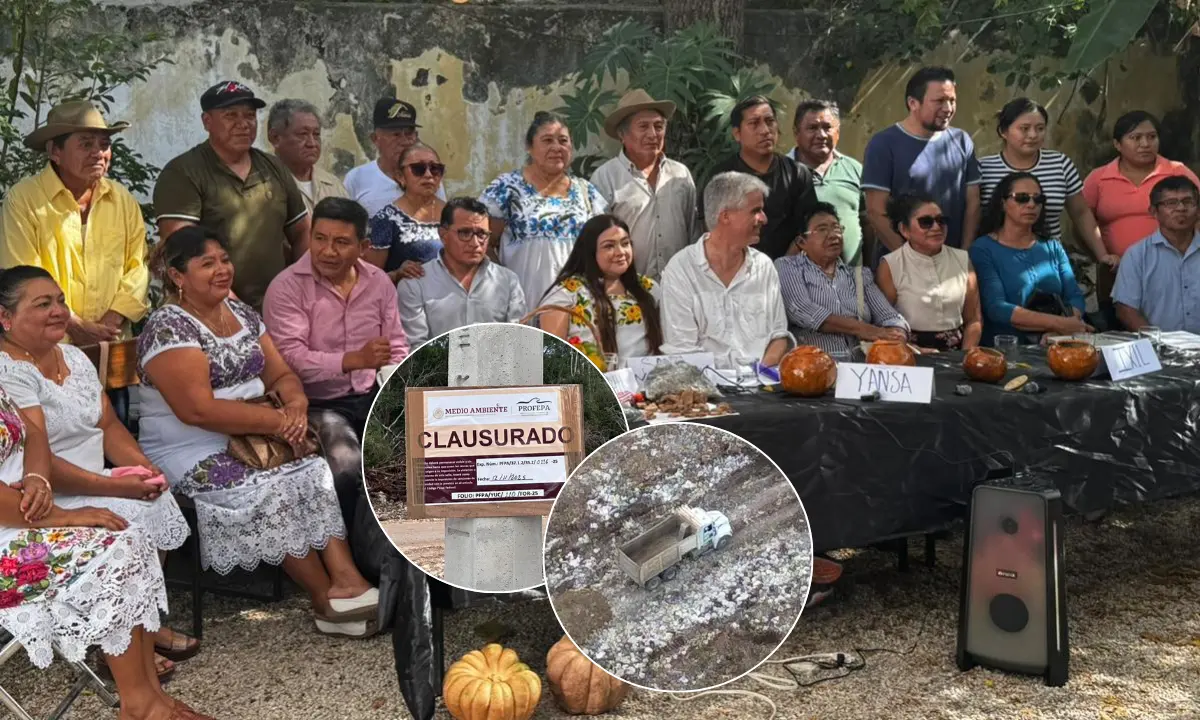 Colectivos y habitantes maya denuncian obras de Crío pese a orden judicial de suspensión Foto: Irving Gil/Profepa