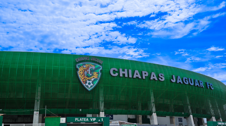 imagen-cuerpo imagen-cuerpo