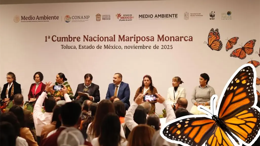 Coahuila se une a la primera Cumbre Nacional de la mariposa monarca, ¿qué implica?