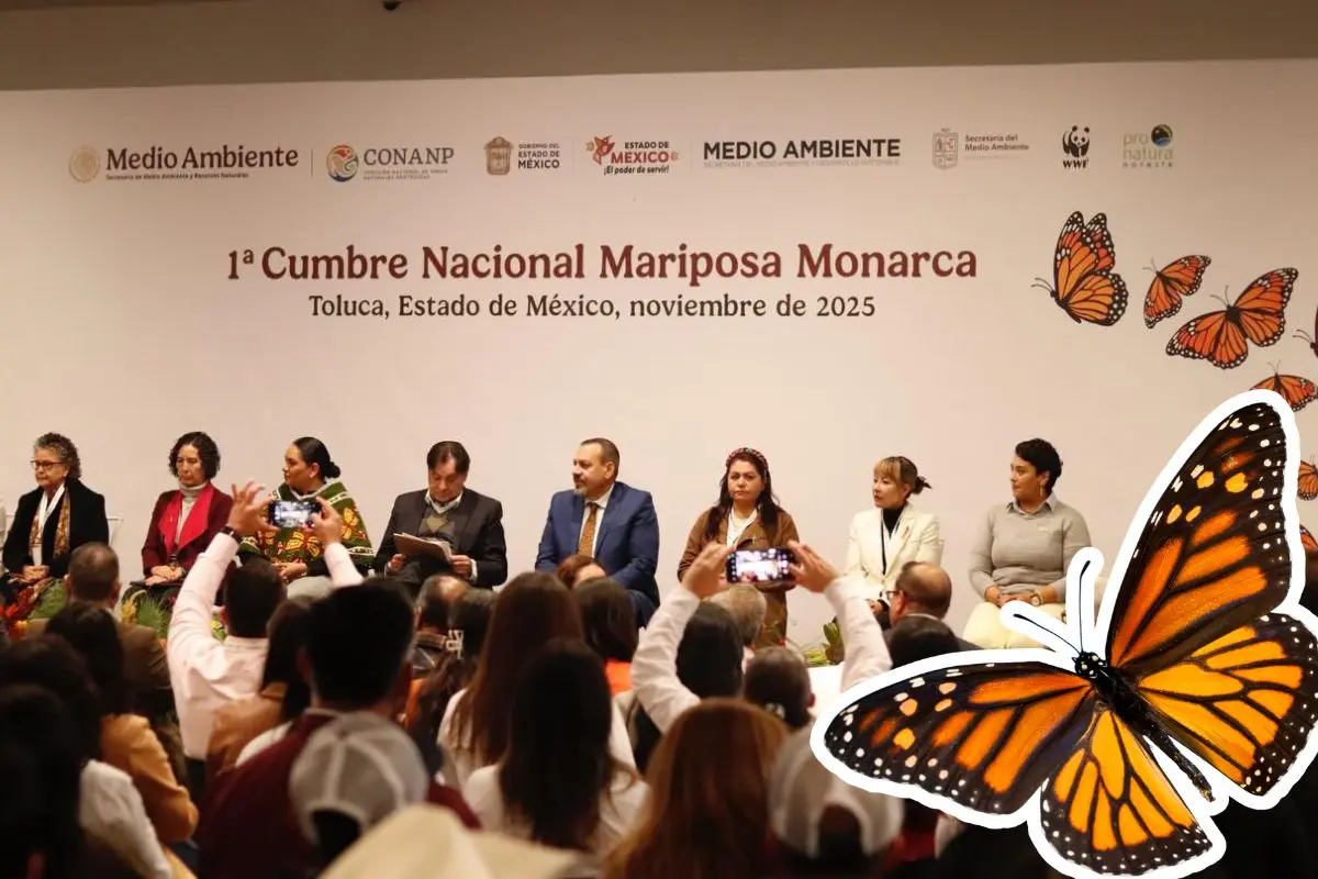 Realizan Cumbre Nacional Mariposa Monarca / Foto: Programa Correo Real- Mariposa Monarca