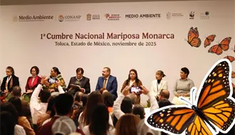 Coahuila se une a la primera Cumbre Nacional de la mariposa monarca, ¿qué implica?