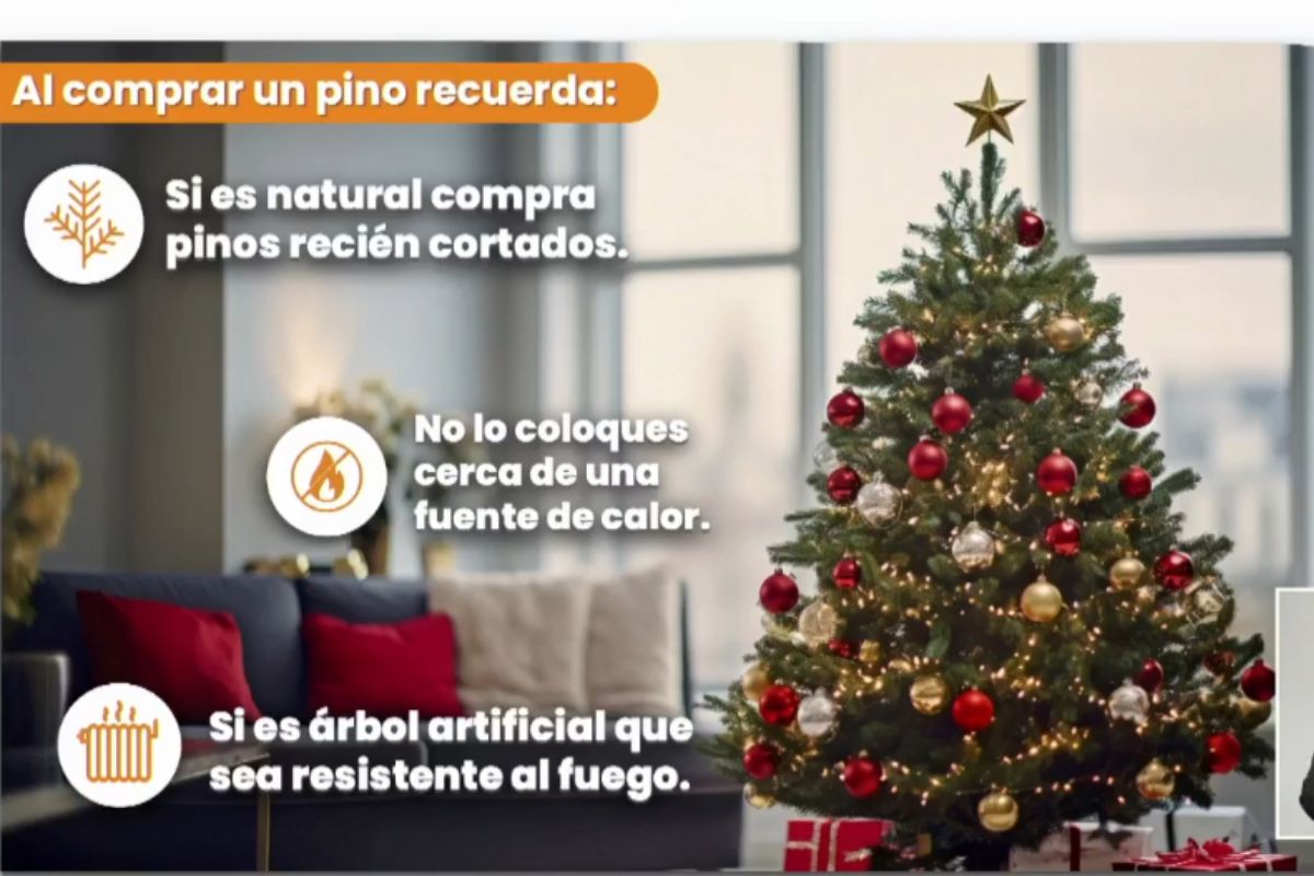 Recomendaciones sobre la temporada decembrina Recomendaciones sobre la temporada decembrina