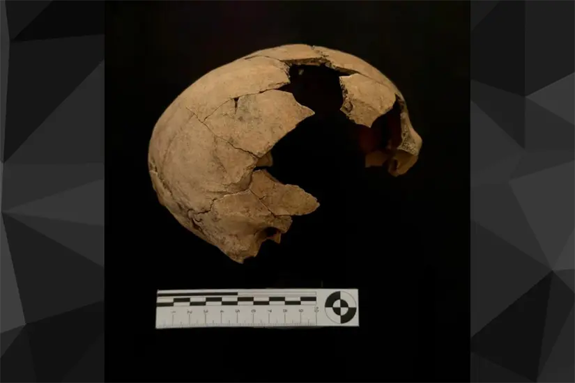 Archivo Técnico de la Sección de Arqueología del Centro INAH Tamaulipas