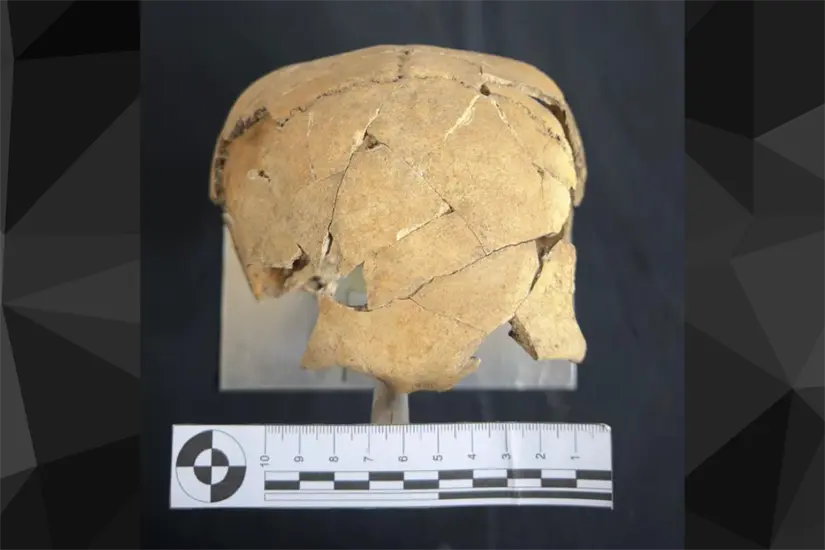 Archivo Técnico de la Sección de Arqueología del Centro INAH Tamaulipas