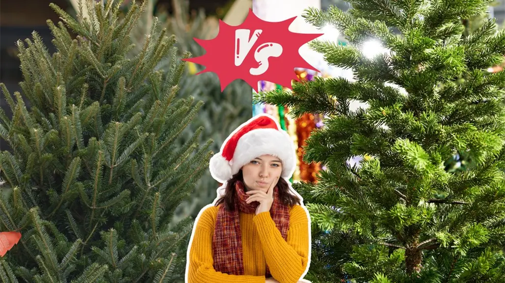 Feria del Pino en Nuevo León 2025: ¿conviene más un pino natural o uno artificial?