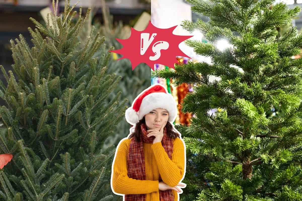 ¿Conviene más un pino natural o uno artificial en 2025?. Foto: CANVA