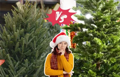 Feria del Pino en Nuevo León 2025: ¿conviene más un pino natural o uno artificial?