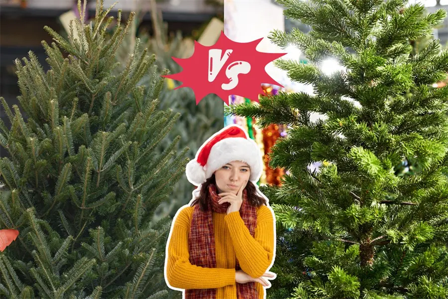 Feria del Pino en Nuevo León 2025: ¿conviene más un pino natural o uno artificial?
