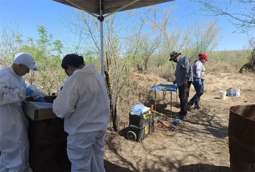 imagen recuadro imagen recuadro