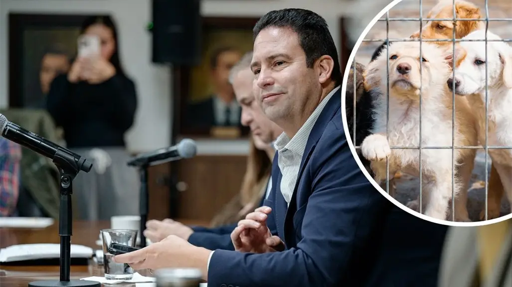Multas por maltrato animal en Saltillo: hasta 113 mil pesos con nuevo reglamento