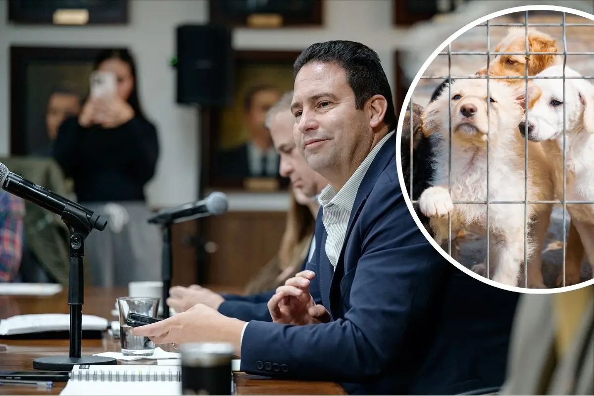 Javier Díaz expone endurecimiento de penas por maltrato animal en Saltillo / Foto: Gobierno de Saltillo | Canva