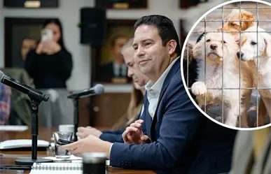 Multas por maltrato animal en Saltillo: hasta 113 mil pesos con nuevo reglamento