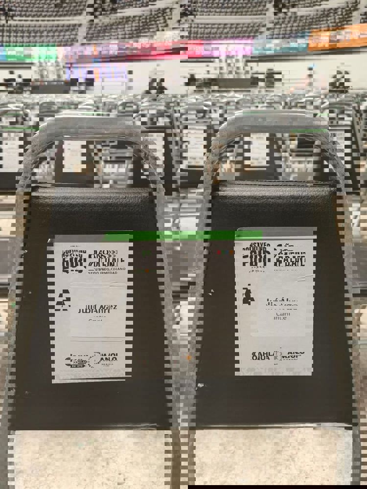 imagen-cuerpo imagen-cuerpo