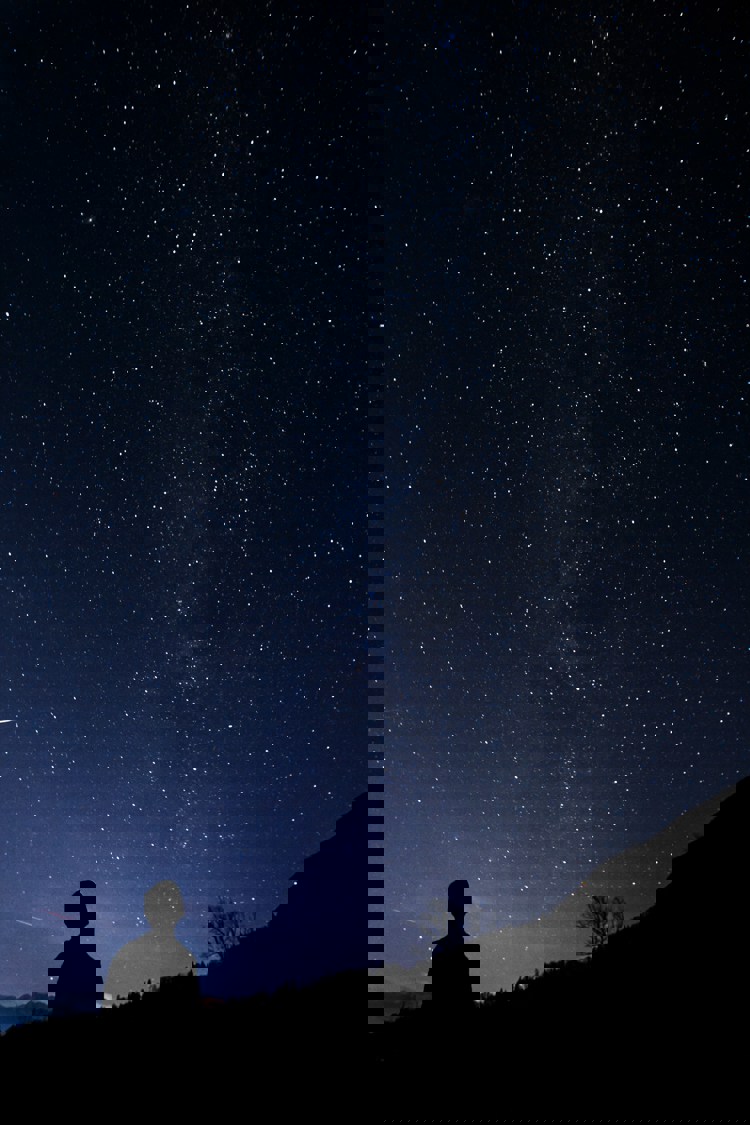 imagen-cuerpo imagen-cuerpo